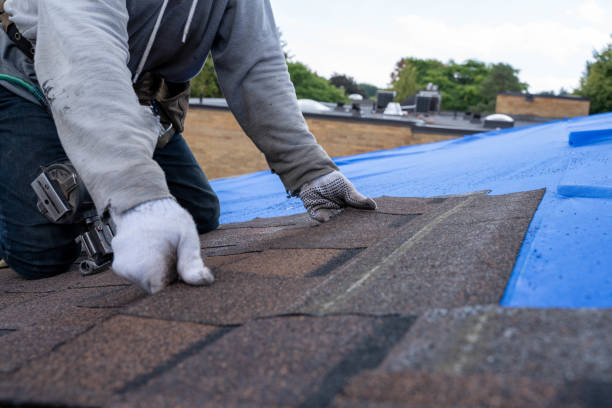 Best Tile Roofing Contractor  in Seagraves, TX