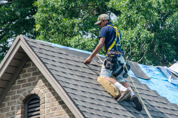 Best Shingle Roofing Installation  in Seagraves, TX